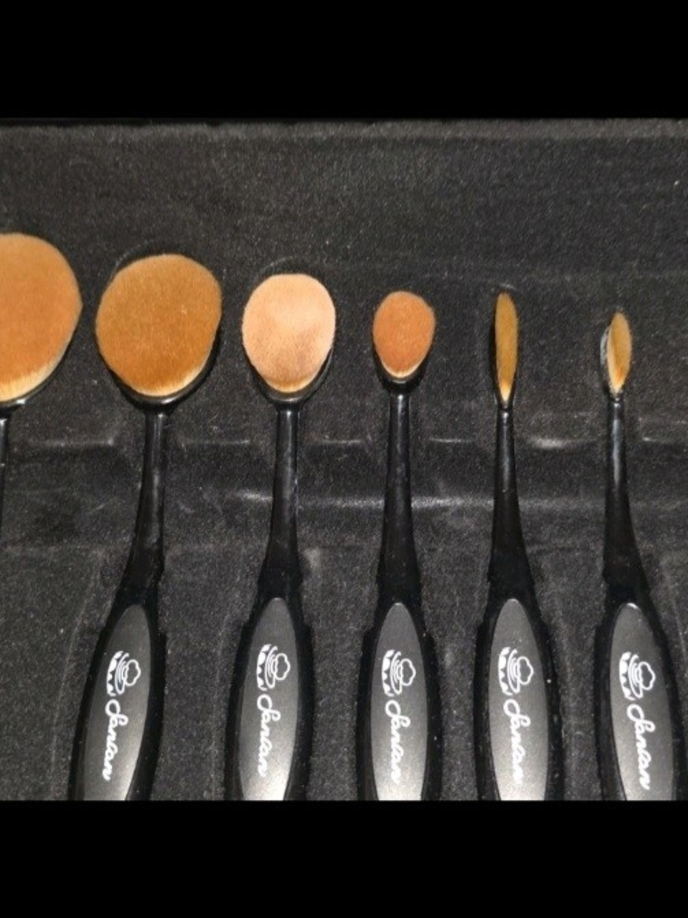 Sanlan Professional Makeup Brush Set, 10-Piece Set Includes Brush, Black NEW